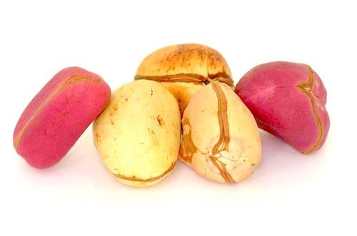 noci di cola erezione